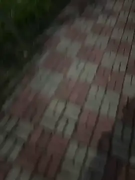 Phil 6677 online show from 10.12.25