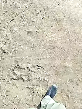 xmanrawan2 online show from 02.02.25