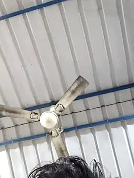 birds0641 online show from 02.25.25