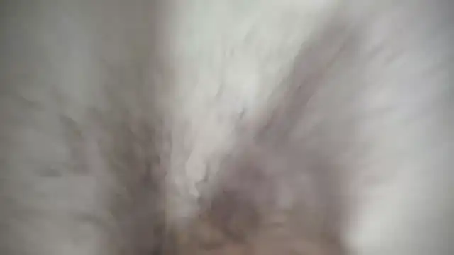 Ivyrose4999 online show from 01.12.25