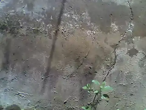 nee2526 online show from 03.05.26