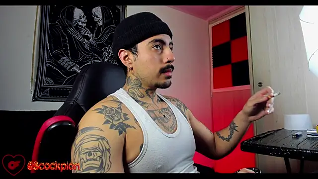 scockpion   online show from 02.18.26