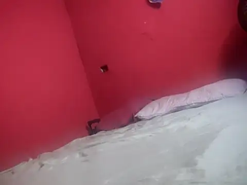 Dehtrans online show from 01.13.26