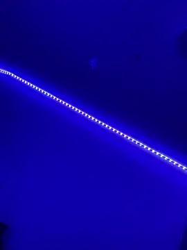 DaniJohnson online show from 02.07.25