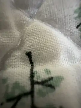 sissyboijamie1313 online show from 02.28.26