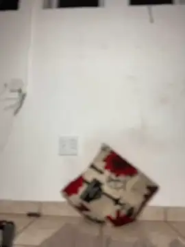 Cuddle Bear online show from 02.20.25