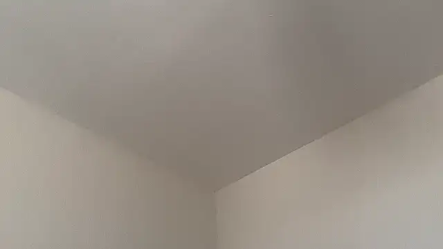 Snapshot of skyejde chatting on 02.14.26 skyejde online show from 02.14.26