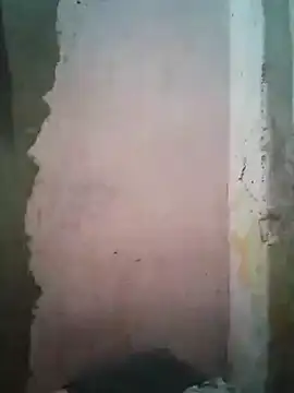 shuelldin online show from 02.16.25