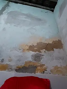 shuelldin online show from 10.29.25