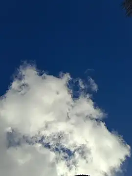 Snapshot of Emily_homegirl chatting on 03.22.25 Emily homegirl online show from 03.22.25