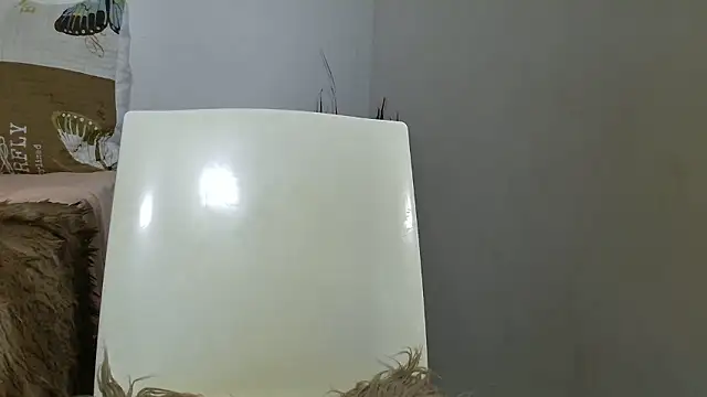 victora3 online show from 01.11.26