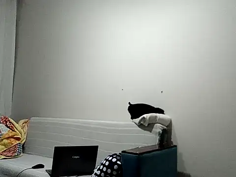 Snapshot of BellBort chatting on 03.03.26 BellBort online show from 03.03.26