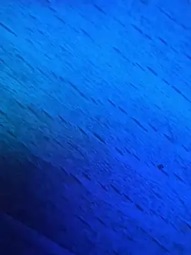 GmG2029 online show from 03.01.25