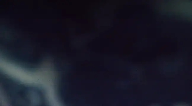 goldiwets online show from 03.12.25