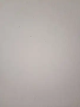 Snapshot of EmmaSulivan chatting on 03.09.26 EmmaSulivan online show from 03.09.26