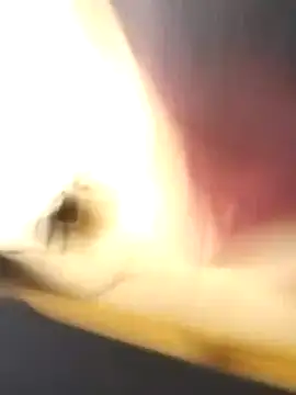 EmCyrex online show from 03.26.26