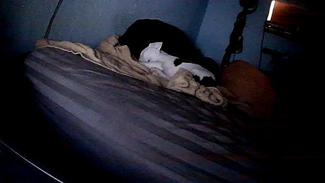 PornStro921 online show from 02.11.26