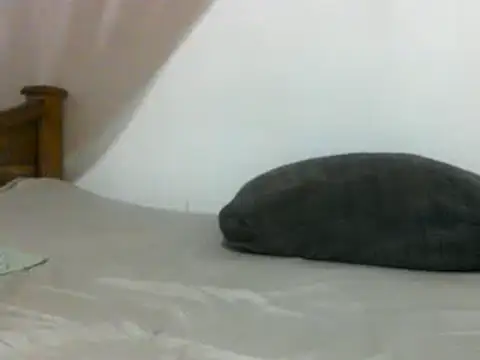 Snapshot of sissydinu chatting on 02.28.25 sissydinu online show from 02.28.25