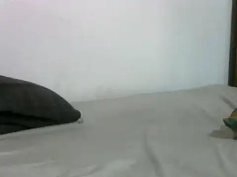 Snapshot of sissydinu chatting on 03.17.25 sissydinu online show from 03.17.25