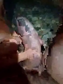 Luis katya online show from 02.10.26