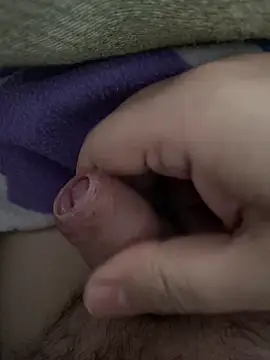 littletoy64 online show from 02.07.26