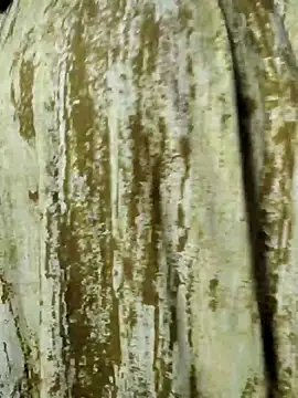 mens weakness online show from 11.02.25