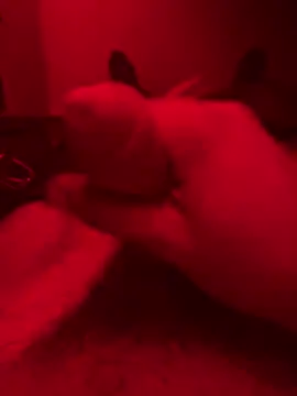 ruchacz24 online show from 10.14.25