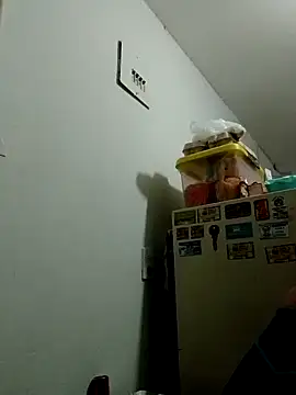 Snapshot of Ehilyn chatting on 11.04.25 Ehilyn online show from 11.04.25