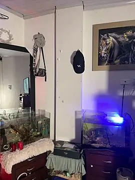 CRAZY-BOY99 online show from 01.11.26