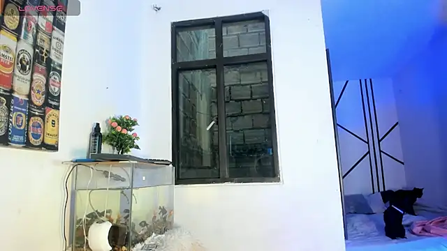 CRAZY-BOY99 online show from 02.11.26