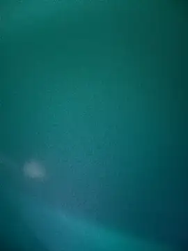 Snapshot of Neha-Bhabhi-Rasily chatting on 12.02.25 Neha-Bhabhi-Rasily online show from 12.02.25