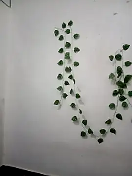 Snapshot of Neha-Bhabhi-Rasily chatting on 02.24.26 Neha-Bhabhi-Rasily online show from 02.24.26