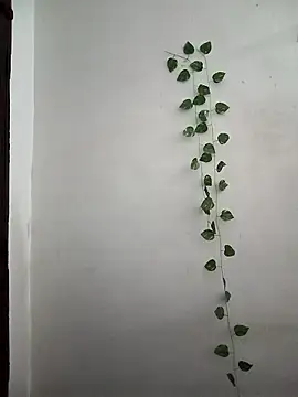 Neha-Bhabhi-Rasily online show from 03.24.26