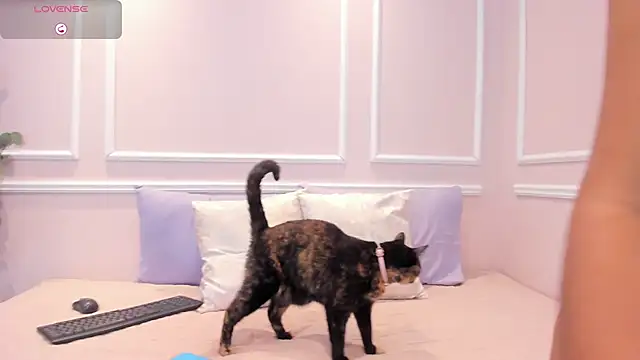 Lucy Canel online show from 01.31.26