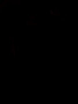 Snapshot of viviksmel chatting on 10.25.25 viviksmel online show from 10.25.25