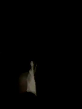 Dasul  online show from 10.11.25