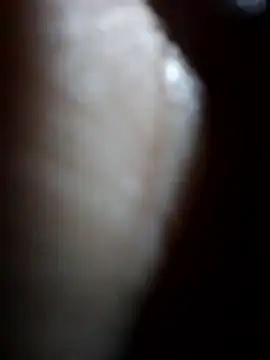 Sandra42 online show from 12.23.25