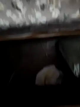 horniestboi online show from 04.20.26