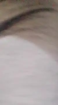 patrona sexooo online show from 03.09.25