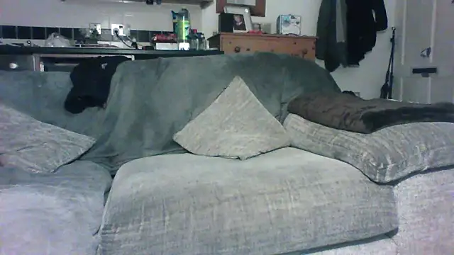 Grower and shower online show from 11.30.25