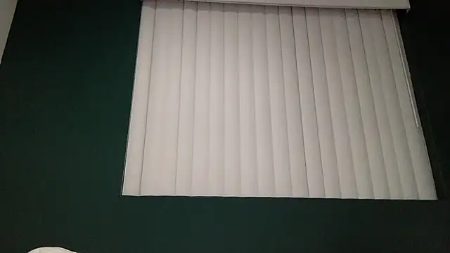 Snapshot of TheDaddy005 chatting on 03.07.25 TheDaddy005 online show from 03.07.25