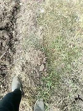 himvilohi08 online show from 01.18.26