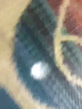 Sexy-nandani-baby online show from 10.12.25