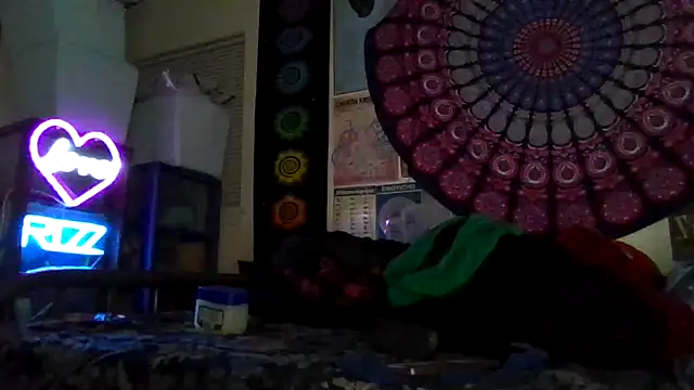 GardeniaFields online show from 03.04.26