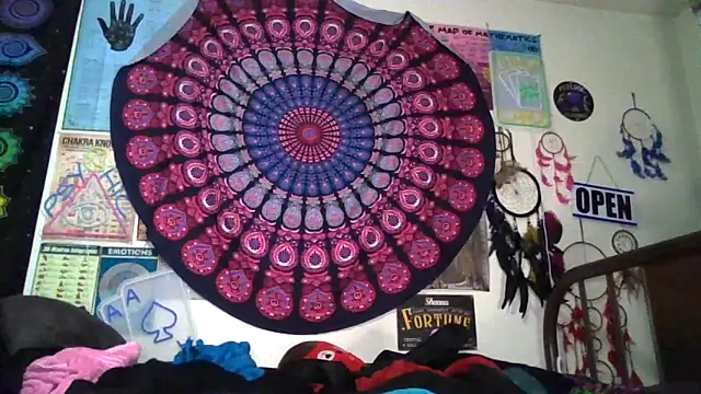 GardeniaFields online show from 04.12.26