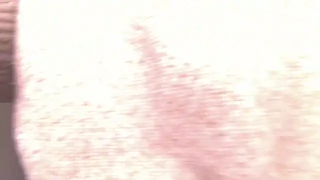 Snapshot of MiraBliss chatting on 02.22.26 MiraBliss online show from 02.22.26