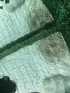 val zx online show from 03.22.26