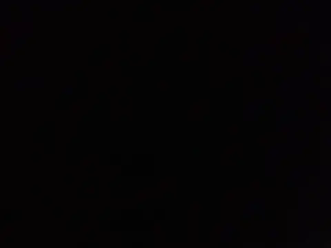 SavagesGN online show from 02.03.26