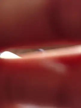 Mr skywalker online show from 12.19.25