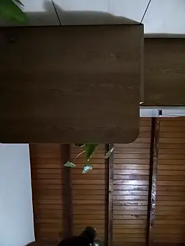 Snapshot of Sexi_girl29 chatting on 10.02.25 Sexi girl29 online show from 10.02.25